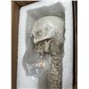 Image 5 : Brteyes Skull Skeleton Table Lamp
