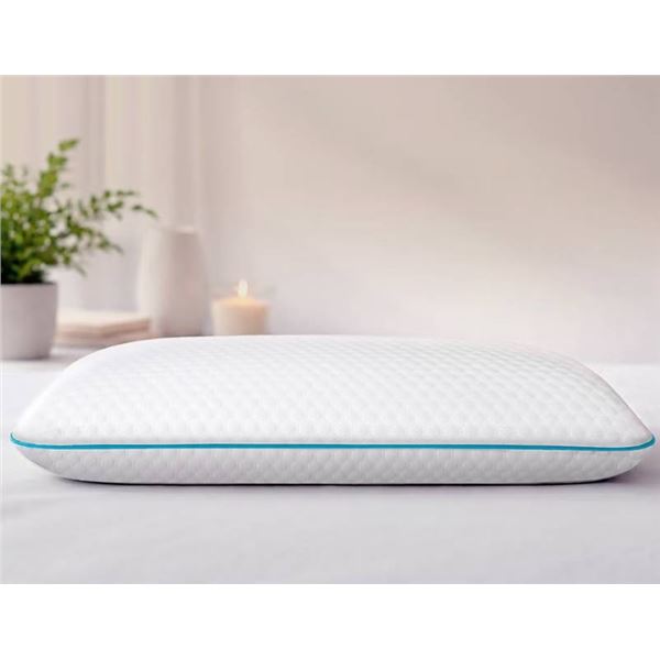 Martha Stewart Memory Foam Pillow Queen Grand