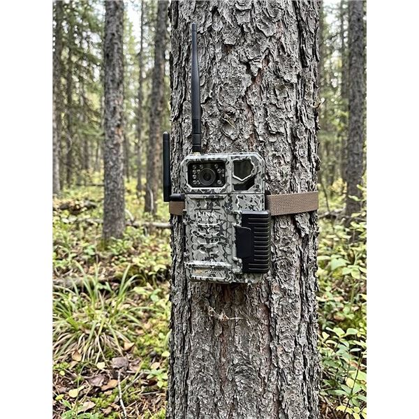 Spypoint LINK-MICRO-LTE Cellular Trail Camera