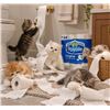 Image 1 : Royale Original Bathroom Tissue 24 Rolls