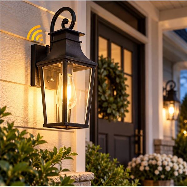 Alvime Outdoor Wall Light HY90041BK Black