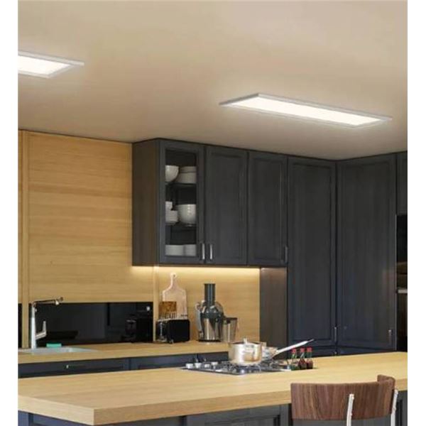 Artika Rayma Flat LED Panel 48x12in White