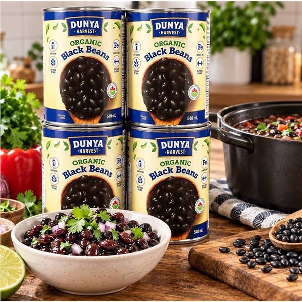 Dunya Harvest Organic Black Beans 10x540ml