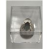 Image 1 : Beetle Encased in Clear Resin Display