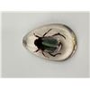 Image 3 : Beetle Encased in Clear Resin Display