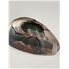 Image 5 : Beetle Encased in Clear Resin Display