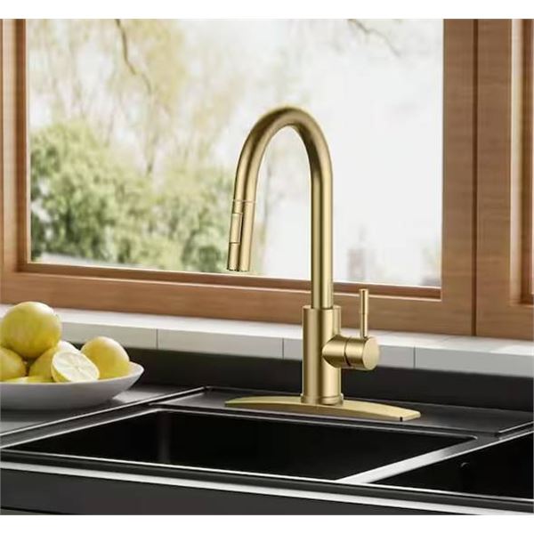 Kohler RODEAN Pull-Down Kitchen Faucet Brass