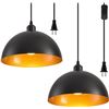 Image 2 : AOJUNSANSAN Plug-in Pendant Hanging Light