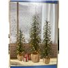 Image 3 : 3 Alpine Trees with 220 LED Lights