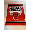 Image 1 : Metal Chicago Bulls Sign