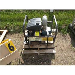 3" gas powered water pump
