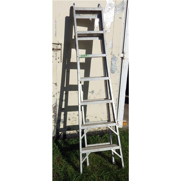 folding / extention aluminum ladder