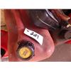 Image 4 : assorted fuel cans