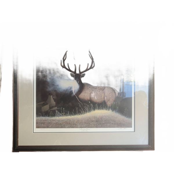 Glenn Olson "Morning Glory" Limited Edition Deer Print 26/1150 Framed