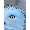 Image 4 : Snowy Owl Painting Signed J Thebert 1996 in Wood Frame