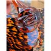 Image 6 : Michael Kors Gift Set w/ Tortoiseshell Murano Glass Basket