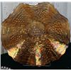 Image 4 : Marigold Carnival Glass Trio with Bottle and Two Dishes