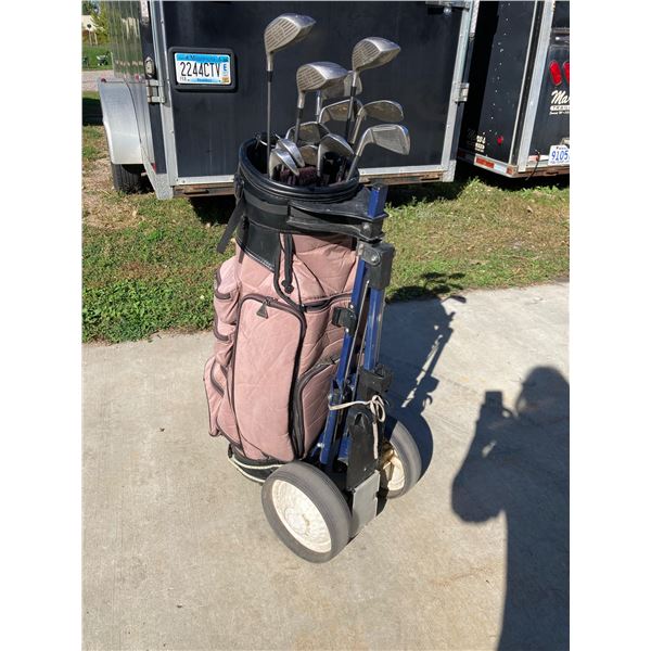 MITSUSHIBA GOLF BAG WITH BILL SKELLEY AND KATHY CORNELIUS SIGNATURE SERIES CLUBS