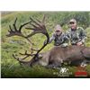 Image 1 : 10-day, 1-on-1 fully guided horseback hunt in the Yukon for Mountain Caribou & Grizzly