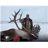 Image 3 : 10-day, 1-on-1 fully guided horseback hunt in the Yukon for Mountain Caribou & Grizzly