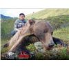 Image 4 : 10-day, 1-on-1 fully guided horseback hunt in the Yukon for Mountain Caribou & Grizzly