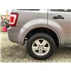 Image 27 : PARKSVILLE - 2008 FORD ESCAPE GREY 252904 KMS - 090004-1