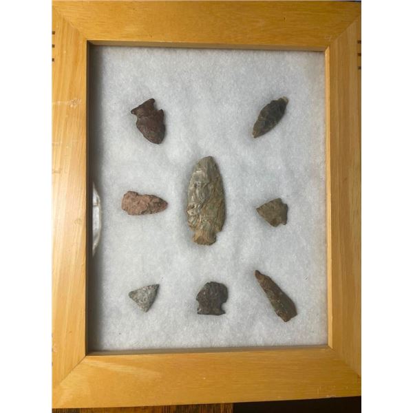 (8) Native American or Indian BIRD POINTS and Small ARROWHEADS in a Glass Display