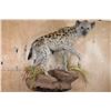 Image 1 : Life-sized HYENA on a Decorative Rock Wall Base