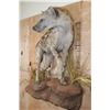 Image 3 : Life-sized HYENA on a Decorative Rock Wall Base