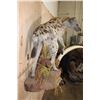 Image 7 : Life-sized HYENA on a Decorative Rock Wall Base