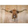 Image 1 : XXL TEXAS LONGHORN Shoulder Mount with a "Texas Twist"