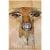 Image 7 : XXL TEXAS LONGHORN Shoulder Mount with a "Texas Twist"