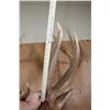 Image 11 : XXL 19-Point ELK Shoulder Mount with Massive Brow Tines