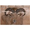 Image 7 : Huge XXL AOUDAD Wall Pedestal. Largest in the Sale!
