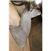 Image 4 : Big KUDU Shoulder Mount