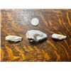 Image 4 : (2) *Rarely Seen* North American MOLE Skulls with (1) European HEDGEHOG Skull