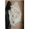 Image 4 : *TEXAS RESIDENTS ONLY* Big AFRICAN LION Skull on a Black Wood Black