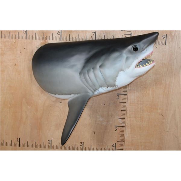 Half-body Reproduction GREAT WHITE SHARK