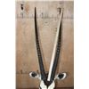 Image 8 : XXL *Trophy Size* GEMSBOK Table or Floor Pedestal Mount