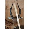 Image 5 : Big Life-sized GERENUK on a Decorative Base with Wheels