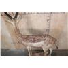 Image 8 : Big Life-sized GERENUK on a Decorative Base with Wheels