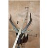 Image 7 : *TEXAS RESIDENTS ONLY* *Rarely Seen* NILE LECHWE Shoulder Mount