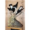 Image 8 : Life-sized BRUSHTAIL POSSUM with 2 AUSTRALIAN MAGPIE Birds on a Wood Table Base
