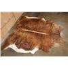 Image 2 : *Brand New* Brown Brindle COWHIDE or COWHIDE Rug