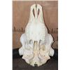 Image 7 : XL A-Grade BUFFALO or BISON Skull