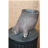 Image 3 : *Real Skin* HIPPOPOTAMUS Foot Canister