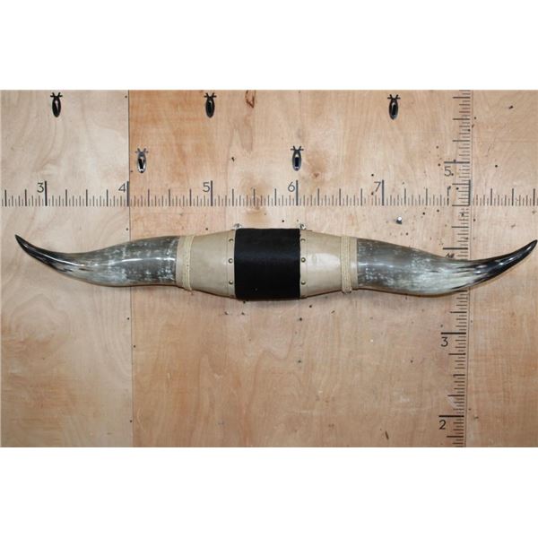 XXL Polished WATUSI Horns with Hide and Rope Accents