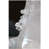 Image 11 : Huge XXL Natural Arkansas CLEAR QUARTZ Crystal Cluster