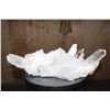 Image 5 : Huge XXL Natural Arkansas CLEAR QUARTZ Crystal Cluster