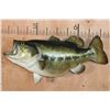 Image 1 : XXL Reproduction LARGE MOUTH BASS Fish Mount